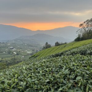 國家風景區秘境探索二日遊-觀巴