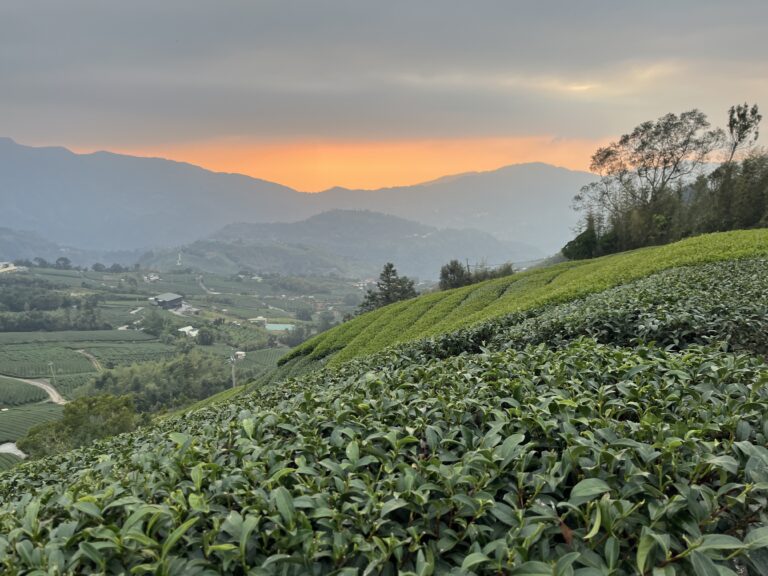 20241130-秘境 (101)